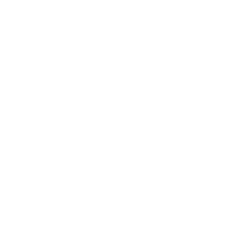 Acribik